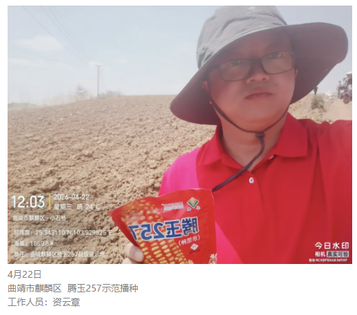 图片8.png