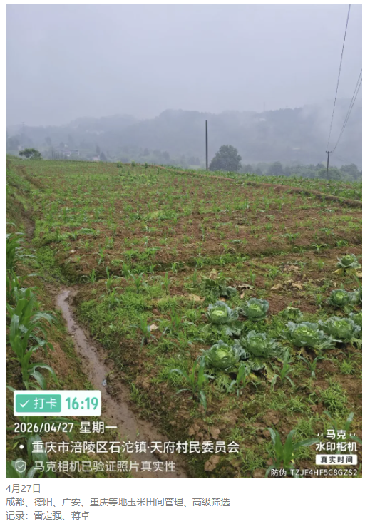 图片12.png